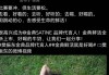 德甲三冠+凌晨官宣！樊振东两条动态冲上热搜，网友：这才是真正的“人生赢家”